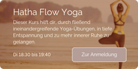 Hatha Flow Yoga